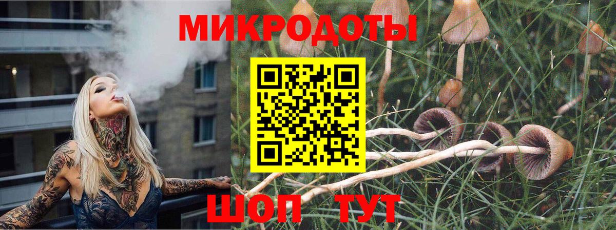 Галлюциногенные грибы MAGIC MUSHROOMS Балашов