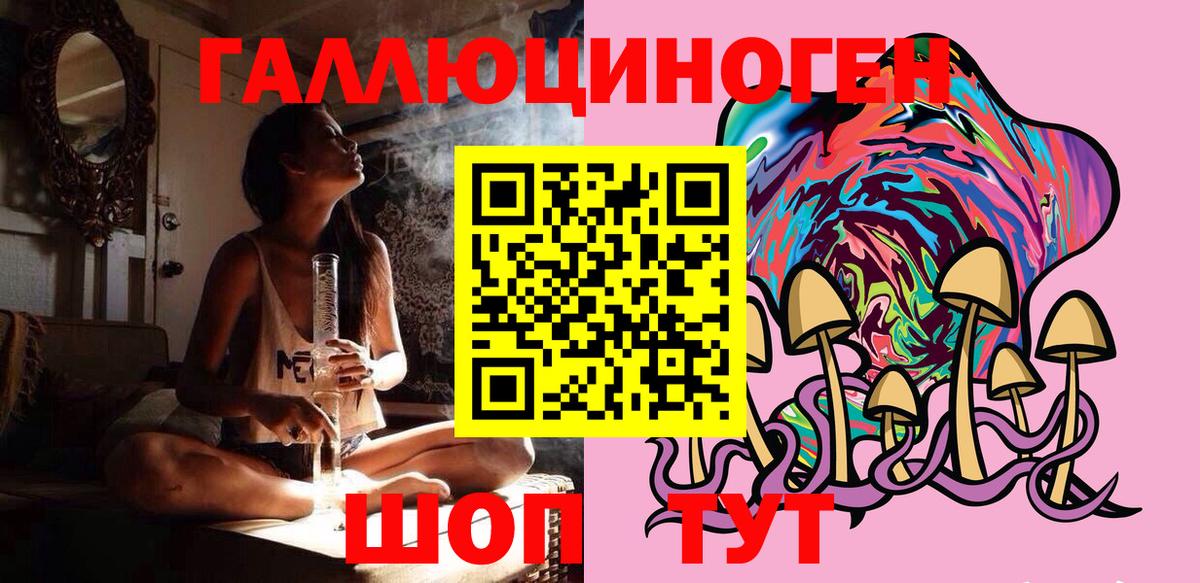 Псилоцибиновые грибы Psilocybe  где купить наркоту  Балашов  Вход с VPN 